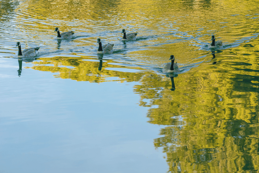 {text(site, 'images', 'hero_section')}